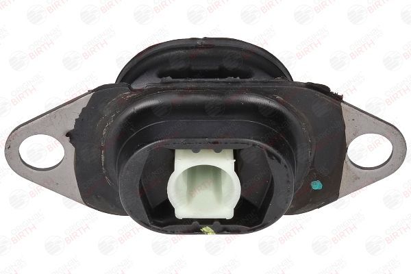 Variklio montavimas BIRTH 53569