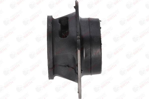 Variklio montavimas BIRTH 53569