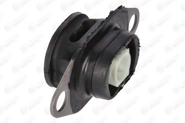 Variklio montavimas BIRTH 53569