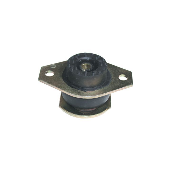 Variklio montavimas BIRTH 5358