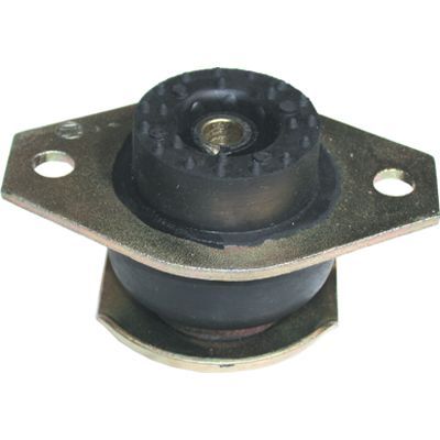 Variklio montavimas BIRTH 5358