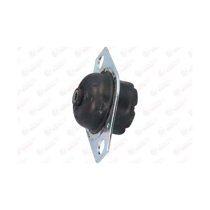 Variklio montavimas BIRTH 5359