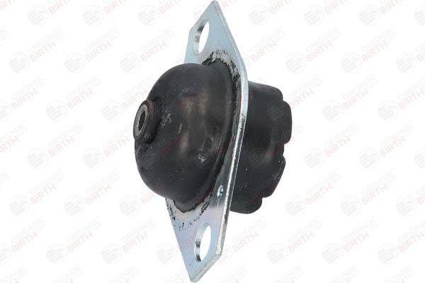 Variklio montavimas BIRTH 5359