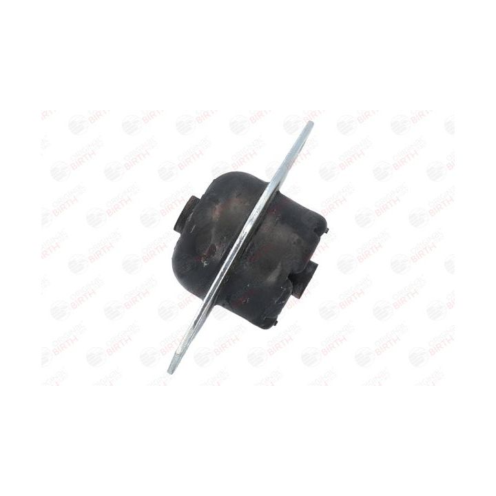 Variklio montavimas BIRTH 5359