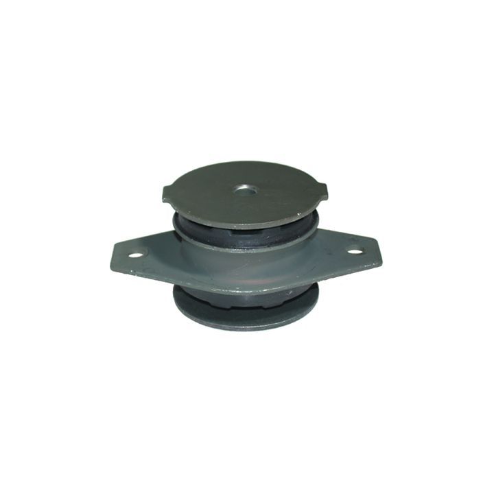 Variklio montavimas BIRTH 5365