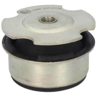 Variklio montavimas BIRTH 5366