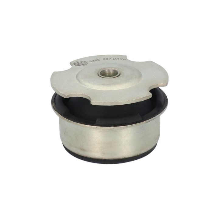 Variklio montavimas BIRTH 5366