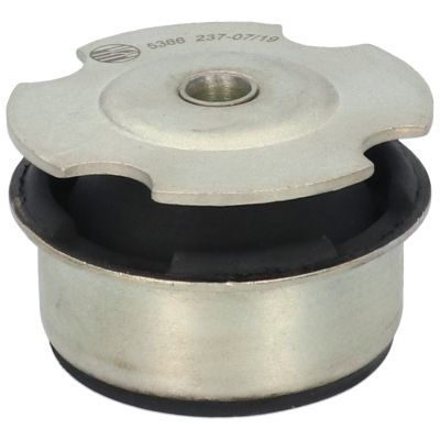 Variklio montavimas BIRTH 5366