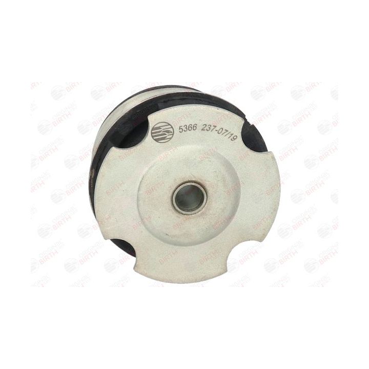 Variklio montavimas BIRTH 5366