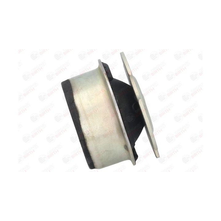 Variklio montavimas BIRTH 5366