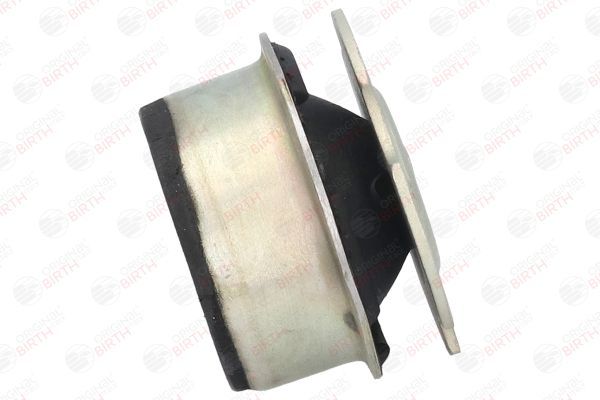 Variklio montavimas BIRTH 5366