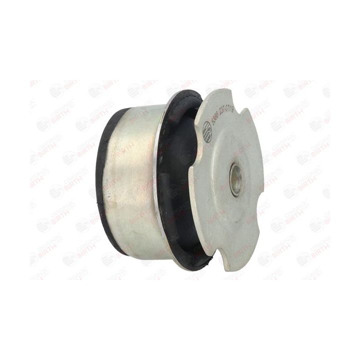 Variklio montavimas BIRTH 5366