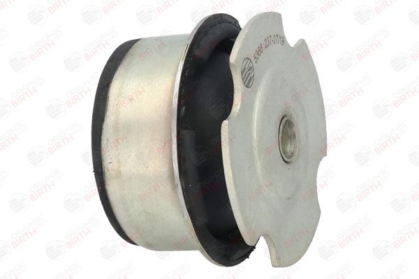 Variklio montavimas BIRTH 5366