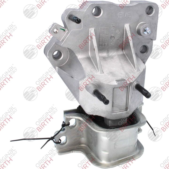 Variklio montavimas BIRTH 53778