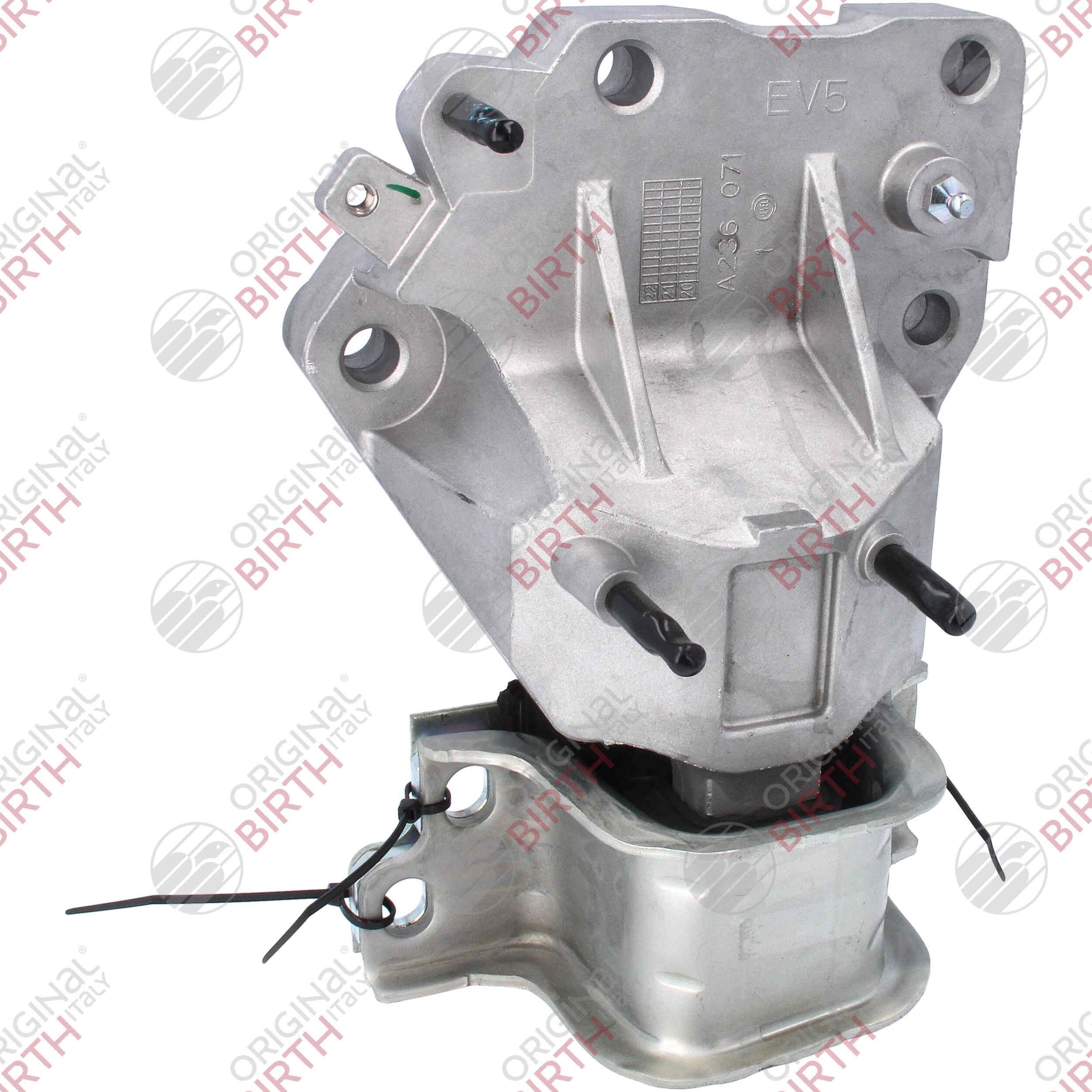 Variklio montavimas BIRTH 53778