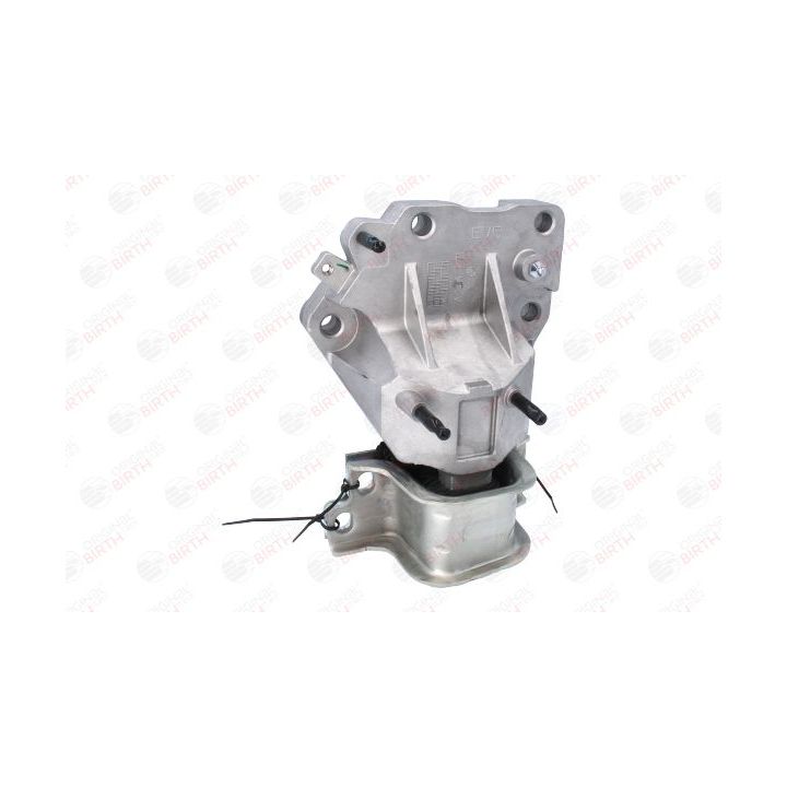 Variklio montavimas BIRTH 53778