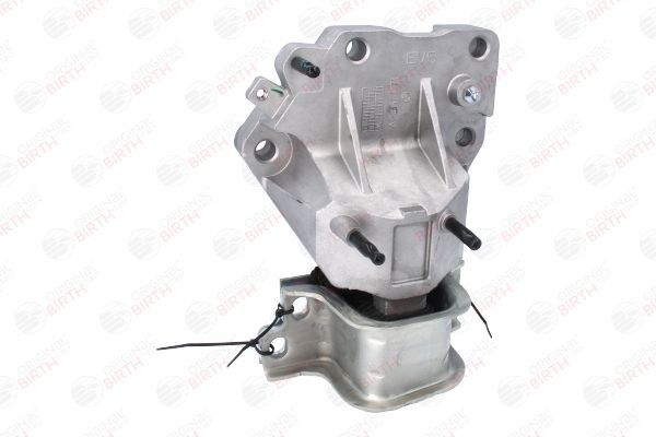 Variklio montavimas BIRTH 53778