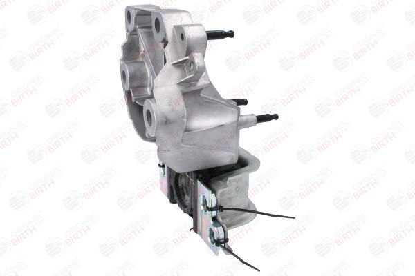 Variklio montavimas BIRTH 53778