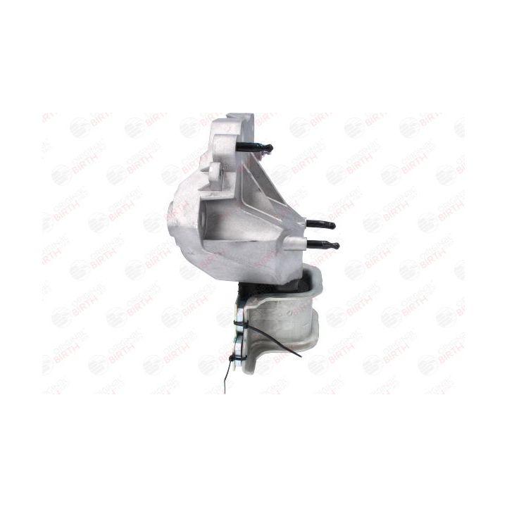 Variklio montavimas BIRTH 53778