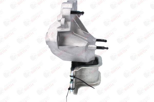 Variklio montavimas BIRTH 53778