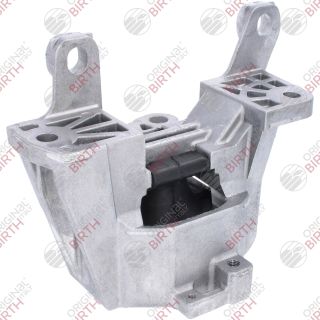 Variklio montavimas BIRTH 53780