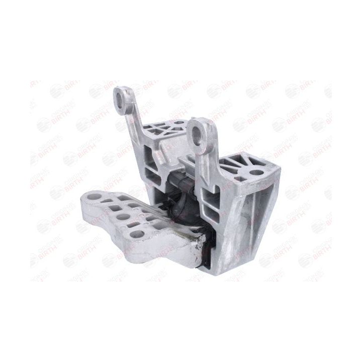 Variklio montavimas BIRTH 53780