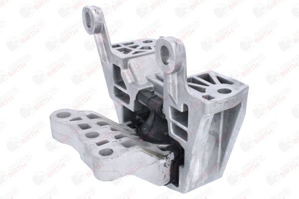 Variklio montavimas BIRTH 53780