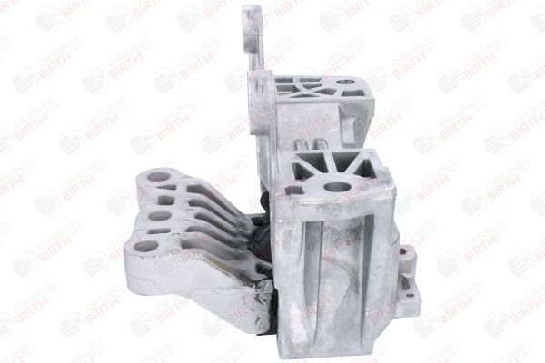 Variklio montavimas BIRTH 53780