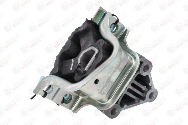 Variklio montavimas BIRTH 53781