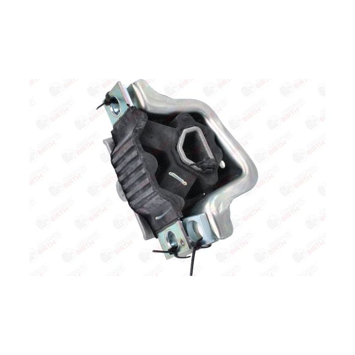 Variklio montavimas BIRTH 53781