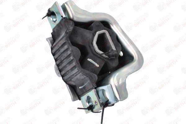 Variklio montavimas BIRTH 53781