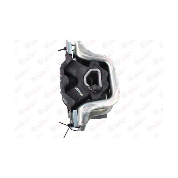 Variklio montavimas BIRTH 53781