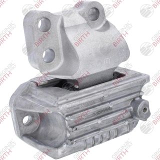 Variklio montavimas BIRTH 53782