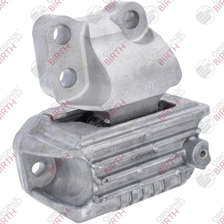 Variklio montavimas BIRTH 53782