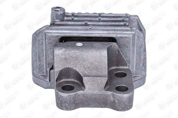 Variklio montavimas BIRTH 53782