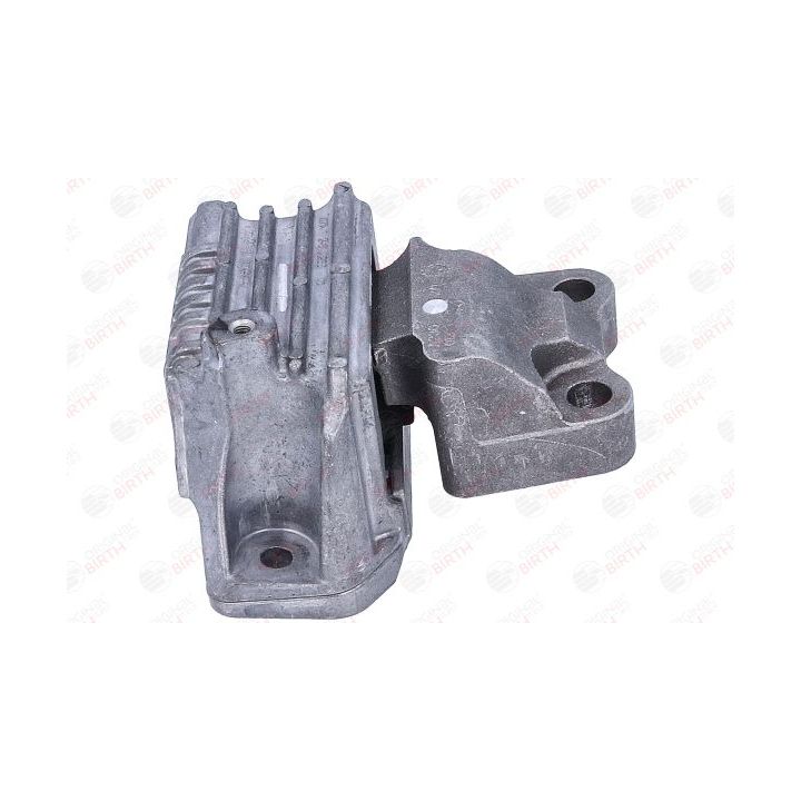 Variklio montavimas BIRTH 53782