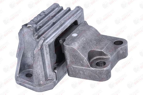 Variklio montavimas BIRTH 53782