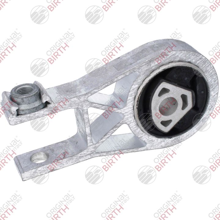 Variklio montavimas BIRTH 53784