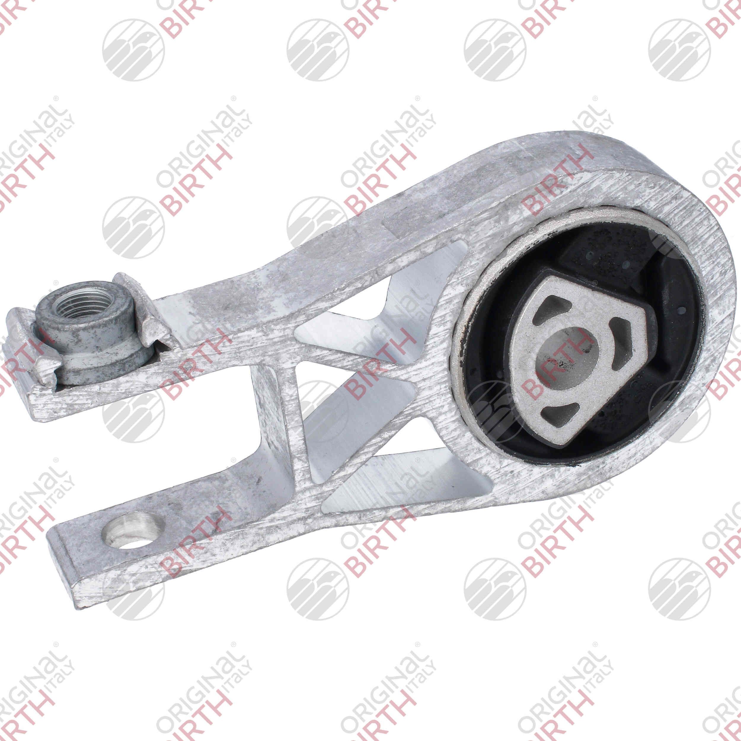 Variklio montavimas BIRTH 53784