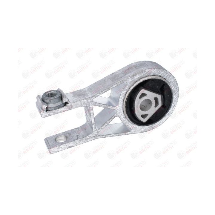 Variklio montavimas BIRTH 53784