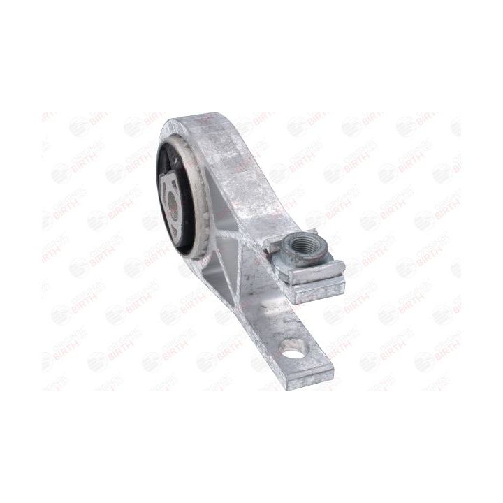 Variklio montavimas BIRTH 53784