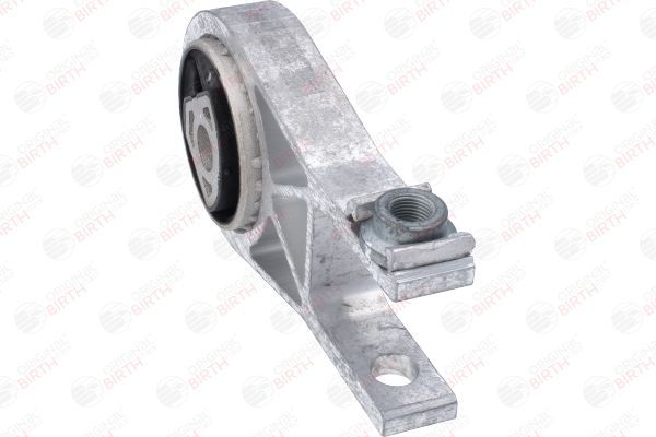 Variklio montavimas BIRTH 53784