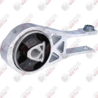 Variklio montavimas BIRTH 53787