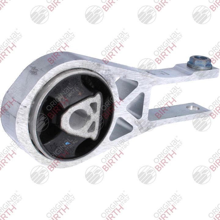 Variklio montavimas BIRTH 53787