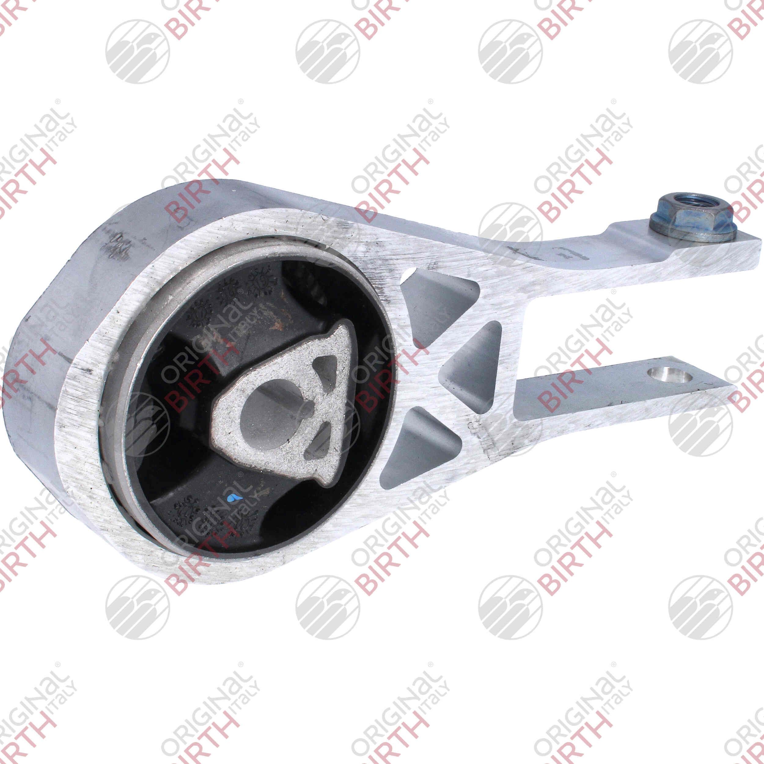 Variklio montavimas BIRTH 53787