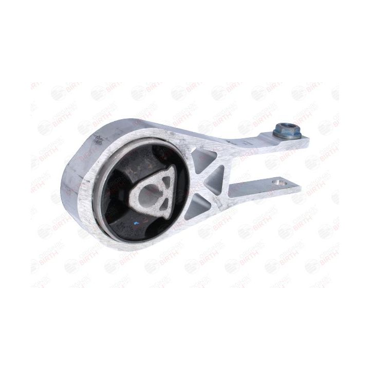 Variklio montavimas BIRTH 53787