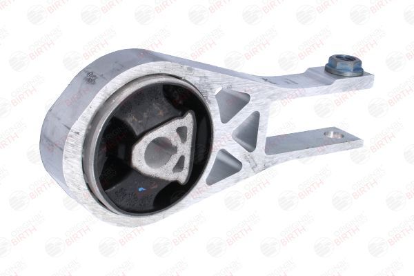 Variklio montavimas BIRTH 53787