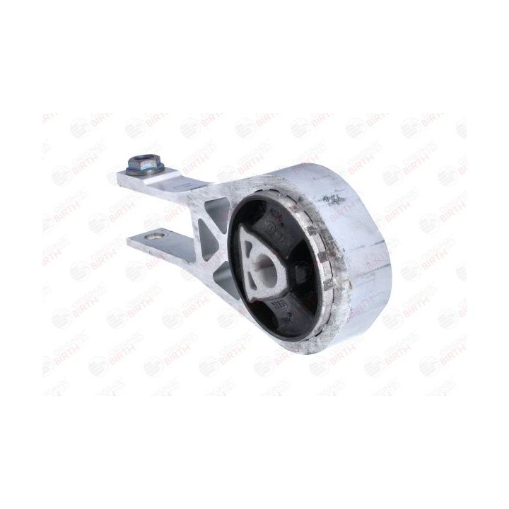 Variklio montavimas BIRTH 53787