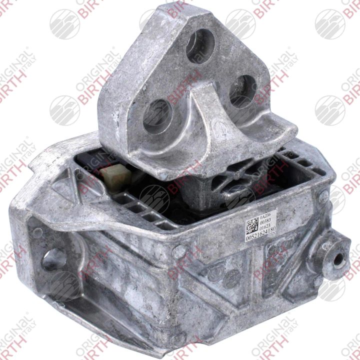 Variklio montavimas BIRTH 53788