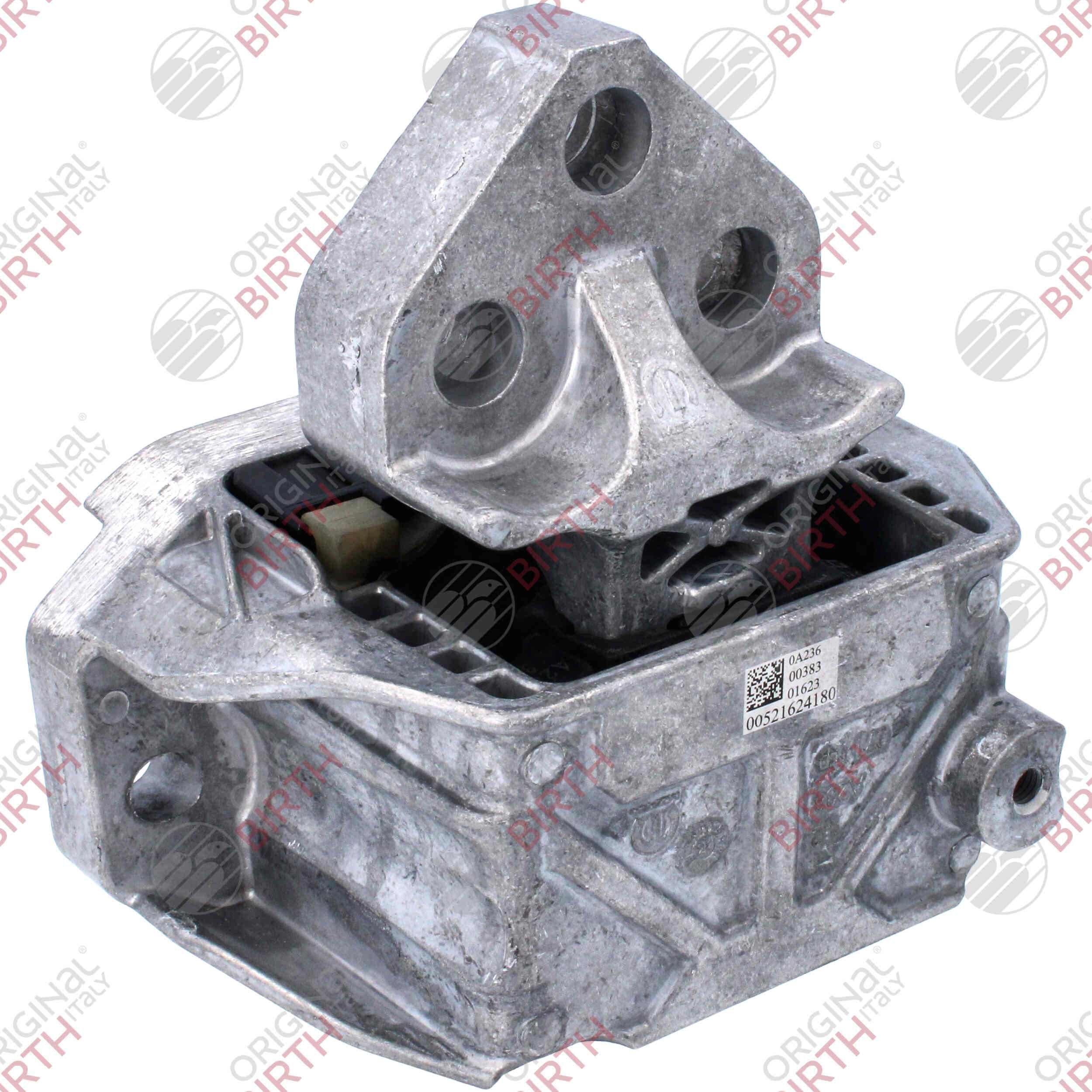 Variklio montavimas BIRTH 53788